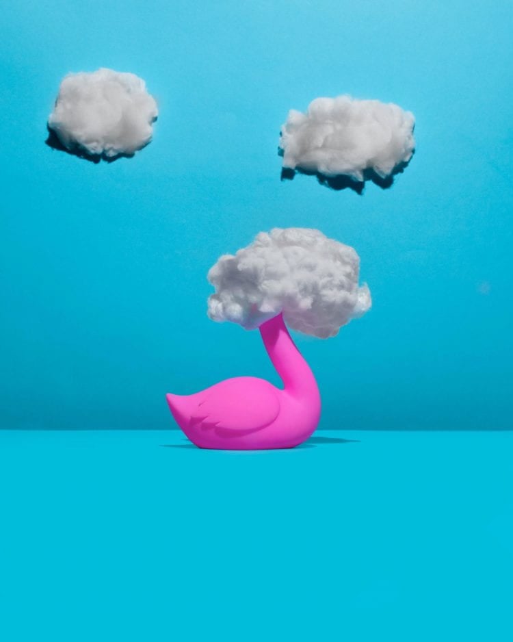 Photo of a pink swan with their head in the clouds